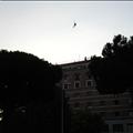 DSC01547.JPG