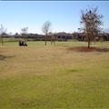 DSC01642.JPG