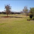 DSC01643.JPG