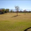 DSC01645.JPG