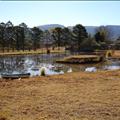 DSC01651.JPG