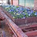 DSC01656.JPG