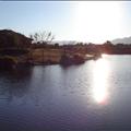 DSC01661.JPG