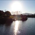 DSC01663.JPG