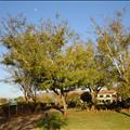 DSC01664.JPG