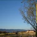 DSC01667.JPG