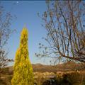 DSC01668.JPG