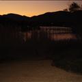 DSC01689.JPG