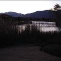 DSC01690.JPG