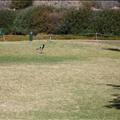 DSC01707.JPG