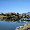 DSC01708.JPG