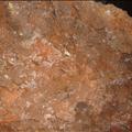 DSC01728.JPG