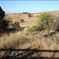 DSC01758.JPG