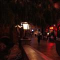 DSC01778.JPG