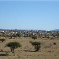 DSC01784.JPG