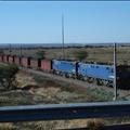 DSC01802.JPG