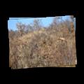 0809 Pilanesberg National Park
