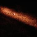 DSC01839.JPG