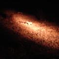 DSC01840.JPG