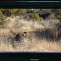 DSC01917.JPG