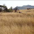 DSC01956.JPG