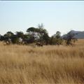 DSC01957.JPG