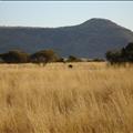 DSC01959.JPG
