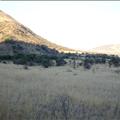 DSC01962.JPG