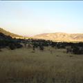 DSC01963.JPG