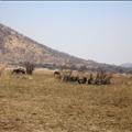 DSC02057.JPG