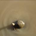 DSC02083.JPG