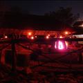 DSC02030.JPG