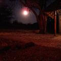 DSC02033.JPG