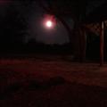 DSC02034.JPG