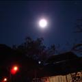 DSC02043.JPG