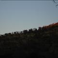 DSC01820.JPG