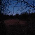 DSC01829.JPG