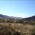 DSC01900.JPG