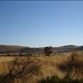 DSC01932.JPG