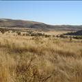 DSC01935.JPG