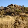 DSC01938.JPG