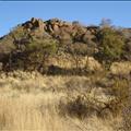 DSC01939.JPG