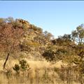 DSC01940.JPG