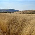 DSC01942.JPG