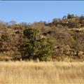 DSC01943.JPG