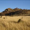 DSC01953.JPG