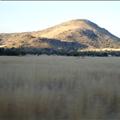 DSC01960.JPG