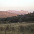 DSC01983.JPG