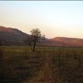 DSC01985.JPG