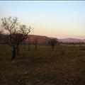 DSC01986.JPG